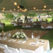 Hexagon wedding party tent set up with soft white globe lights for a backyard reception.
