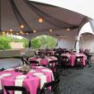 Decorated guest tables with fuschia table cloths, cream napkins and black resin chairs underneath a Hexagon 125 canopy.