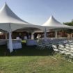Ready for a party and wedding, a Hexagon 100 package with chairs and guest tables under a twinkling light package.