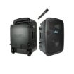 Liberty 3 Hub Connect Sound System package with speaker units, protective casing, and included wireless handheld microphone.